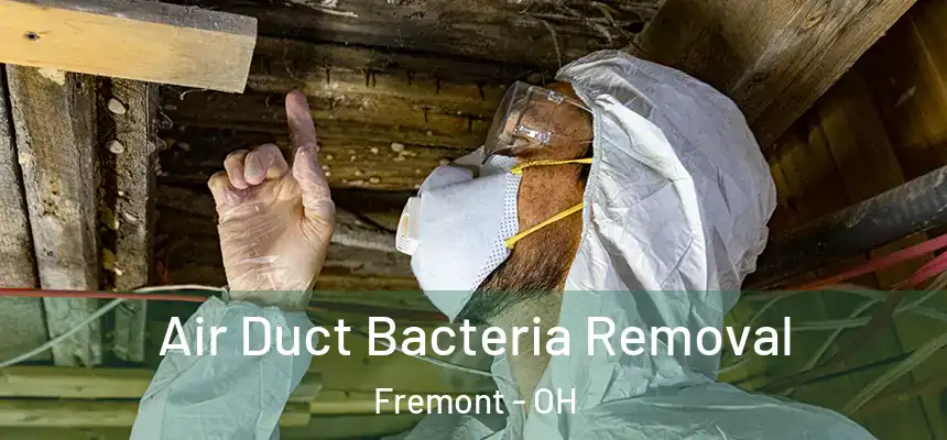 Air Duct Bacteria Removal Fremont - OH