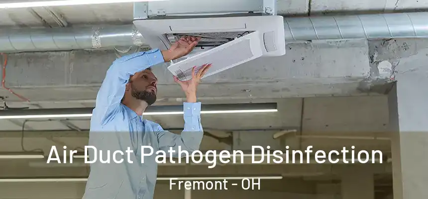Air Duct Pathogen Disinfection Fremont - OH