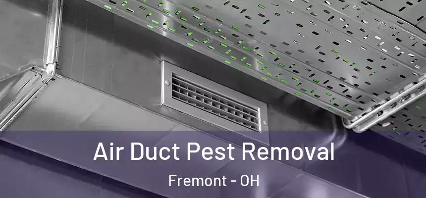 Air Duct Pest Removal Fremont - OH