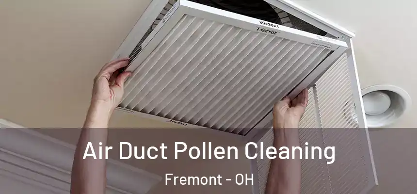 Air Duct Pollen Cleaning Fremont - OH