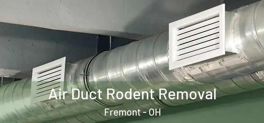  Air Duct Rodent Removal Fremont - OH