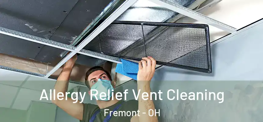 Allergy Relief Vent Cleaning Fremont - OH