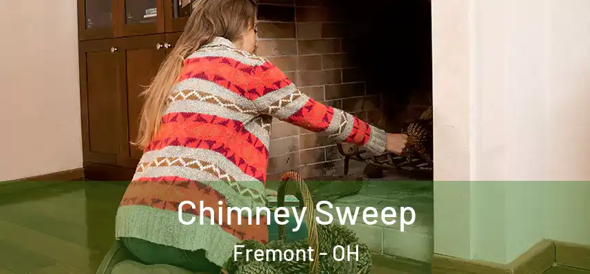 Chimney Sweep Fremont - OH