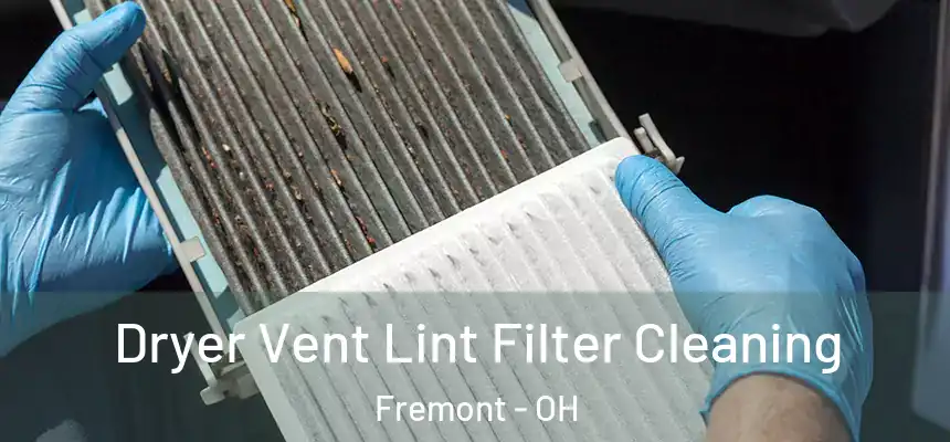 Dryer Vent Lint Filter Cleaning Fremont - OH