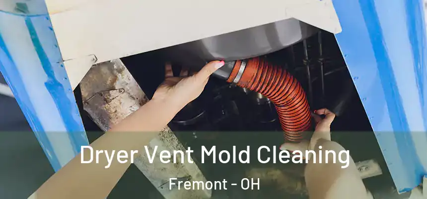 Dryer Vent Mold Cleaning Fremont - OH