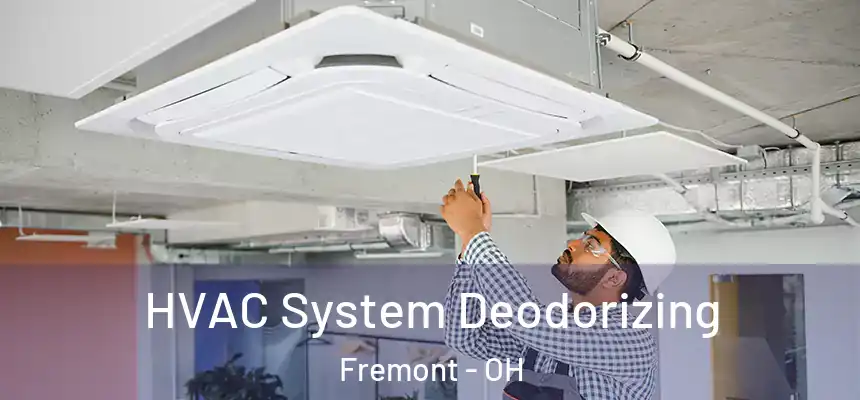 HVAC System Deodorizing Fremont - OH