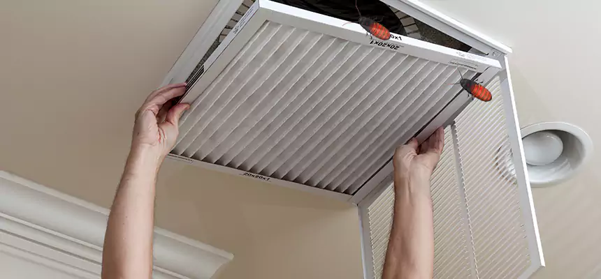 Preventive Cockroach-Proofing for Ducts in Fremont