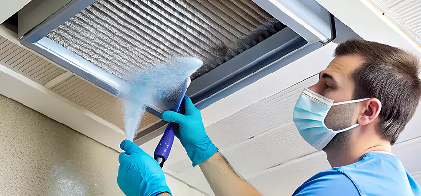 Proactive Dryer Vent & Auxiliary Duct Pollen Cleanup in Fremont, OH