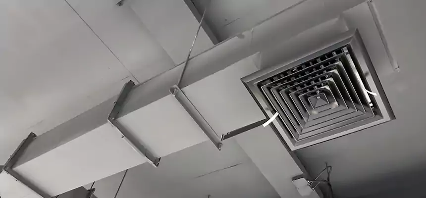 Our Rodent Droppings In Vents Services in Fremont, OH