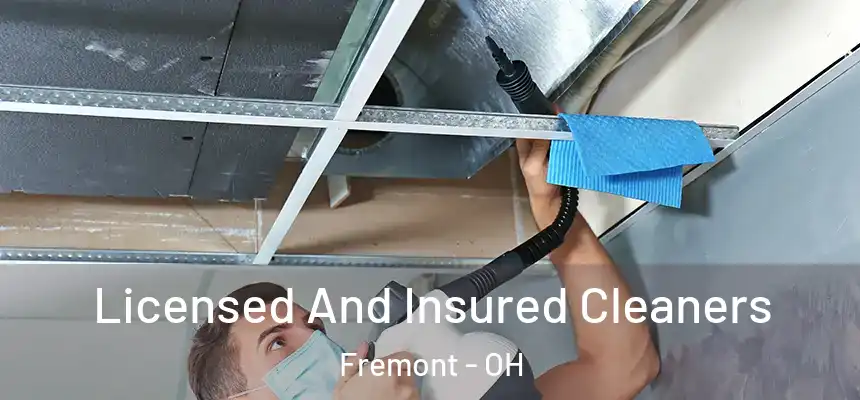 Licensed And Insured Cleaners Fremont - OH