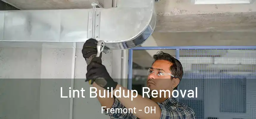 Lint Buildup Removal Fremont - OH