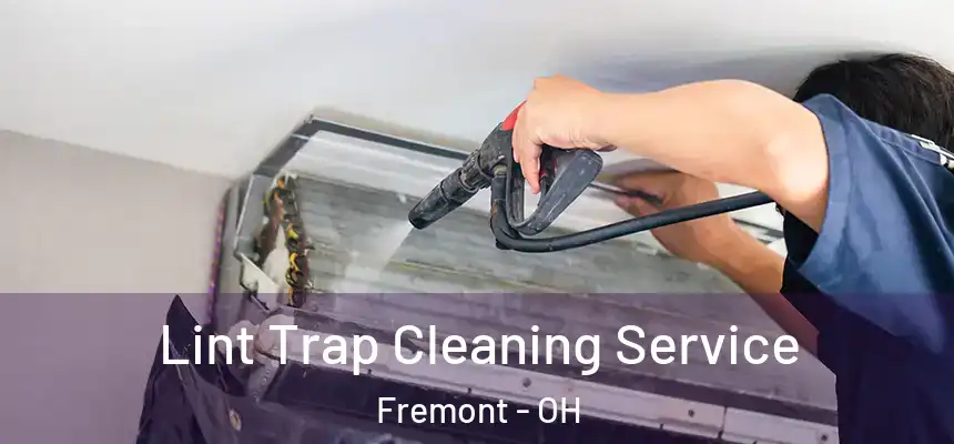 Lint Trap Cleaning Service Fremont - OH