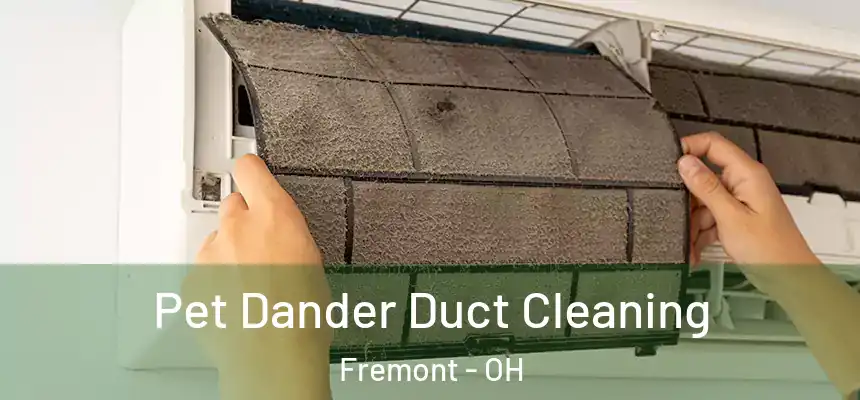  Pet Dander Duct Cleaning Fremont - OH