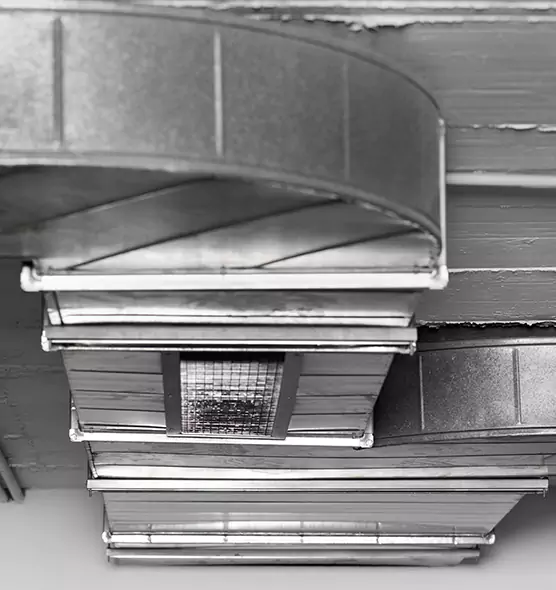 Professional Air Duct Pet Hair Removal in Fremont, OH